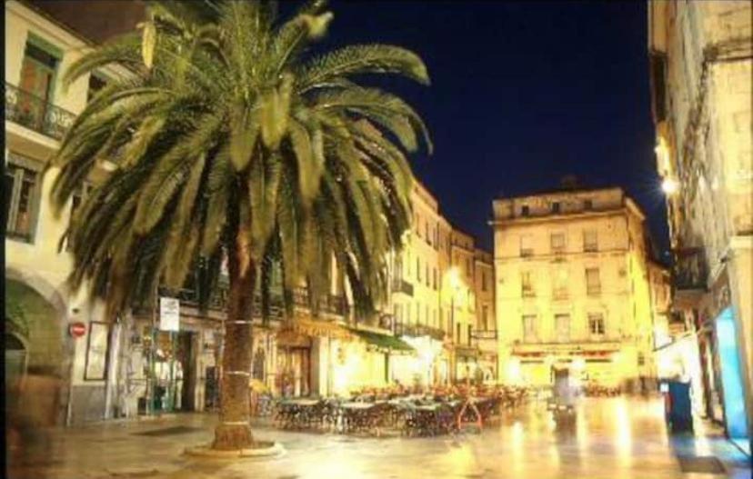 Studio Cosy Au Coeur De L'Ecusson - Arenes A 2 Min Nîmes Dış mekan fotoğraf
